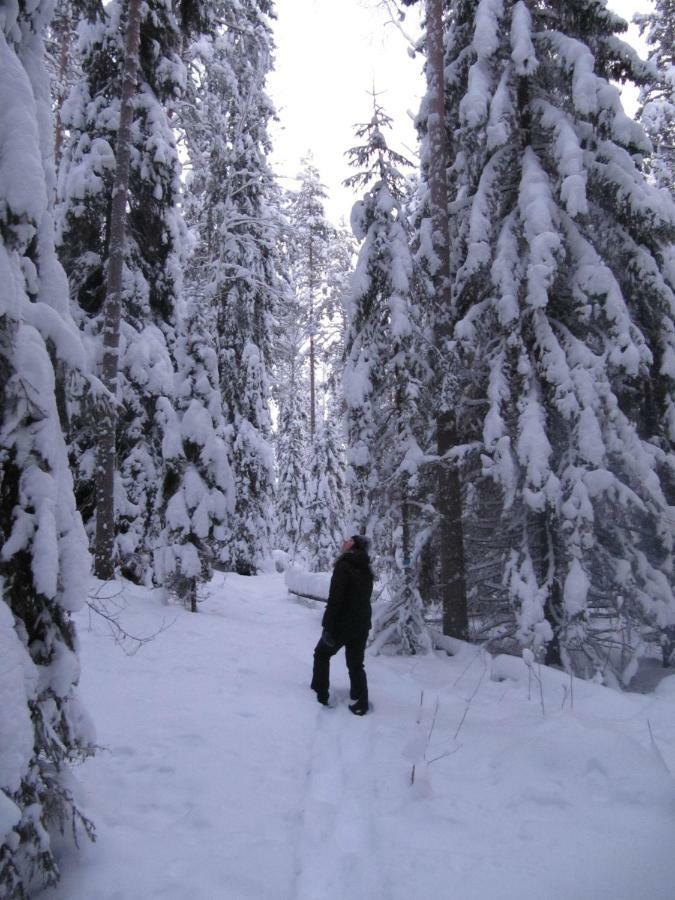 Menninkaeinen Cottage Rutalahti المظهر الخارجي الصورة